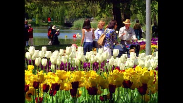 Tulips of various colours. Tourists walking through.