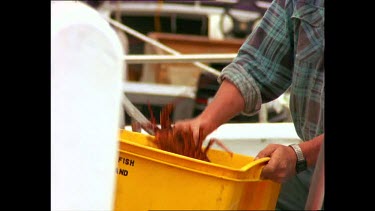 Tourists buying crayfish at Port Fairy