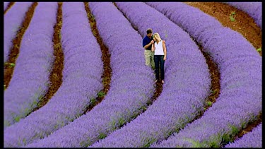 Couple walking along furrows in cultivated field of flowers