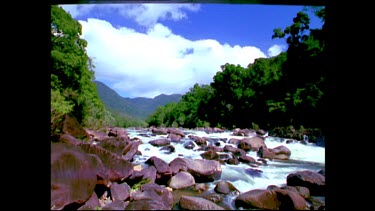 Rainforest river flowing over rocks and rapids.