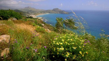 Yellow Daisies, Bay, Beach & Mediterranean, Plakias, Crete, Greece