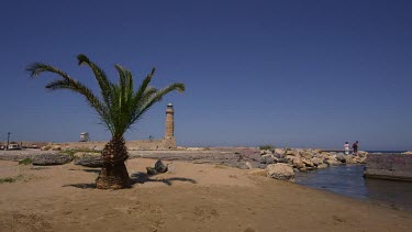 Pineapple Palm Tree & Harbour Lighthouse, Rethymnon, Crete, Greece