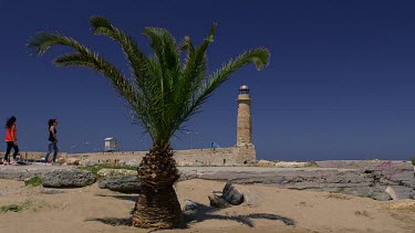 Pineapple Palm Tree & Harbour Lighthouse, Rethymnon, Crete, Greece