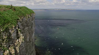 View Of Sea Birds And Red Boat From Cliffs, Rspb Bempton Cliffs, England