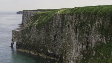 Seabirds Flying Next To Cliff Face, Rspb Bempton Cliffs, England