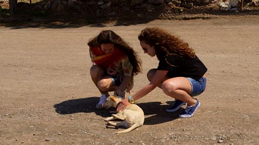 Tourists Befriend Local Dog, Mochlos, Crete, Greece