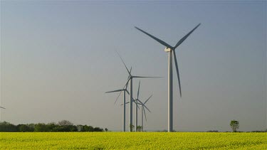 Yellow Rape Seed & Wind Turbines, Lissett East Yorkshire