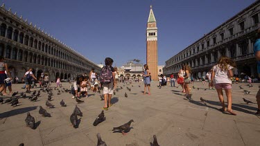 Pigeons In St. Marks Square & Campanile, Venice, Italy