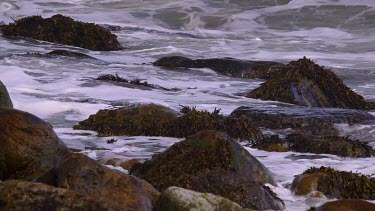 Rocks, Waves & Surf, North Sea, Scarborough, North Yorkshire, England, United Kingdom