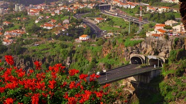 CM0094-APL-0059617 Red Bougainvillea Plant & Road, Funchal, Madeira, Portugal