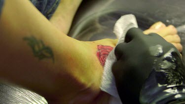 Tattooist Creates Red Rose Tattoo, Funchal, Madeira, Portugal