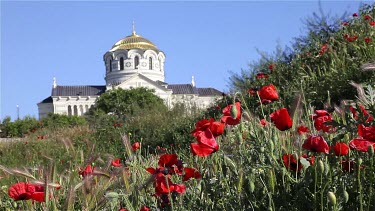 Red Poppies & Saint Vladimir Cathedral, Chersones,Sevastopol, Crimea, Ukraine