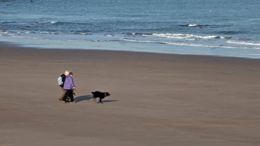 Women Walk Black Labrador Dogs, North Bay, Scarborough, North Yorkshire, England