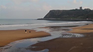 Man Walks Dog On Beach, North Bay, Scarborough, North Yorkshire, England