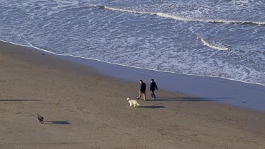 Walking Dog On Beach, North Bay, Scarborough, North Yorkshire, England