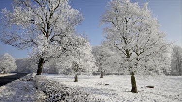 Deep Frost & Snow On Trees, Wykeham, North Yorkshire, England