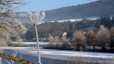 Hard Frost On Plant At Frozen Lake, Weaponness Valley, Mere, Scarborough, England