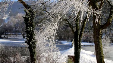 Hard Frost On Tree Branches At Frozen Lake, Weaponness Valley, Mere, Scarborough, England