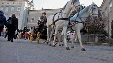 Horses & Trap On Churfurststrasse, Salzburg, Austria