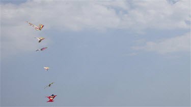 6 Kites In Wind, Lido, Venice, Italy