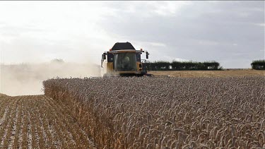New Holland Combined Harvester, Bridlington, North Yorkshire, England