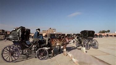 Horses & Carriage, Edfu, Egypt, North Africa