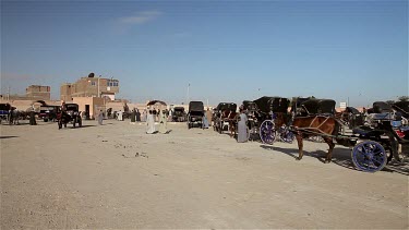 Horses & Carriages, Edfu, Egypt, North Africa