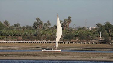 Felucca Sailing Along Bank, River Nile, Egypt, North Africa