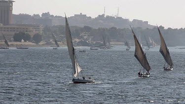 Feluccas In Full Sail, Aswan, Egypt