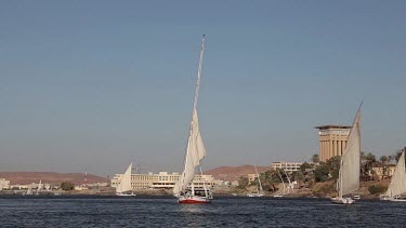 Feluccas On River Nile, Aswan, Egypt