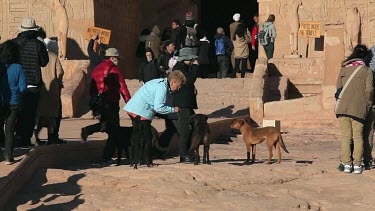 Woman Feeds Dogs, Abu Simbel, Nubia, Egypt