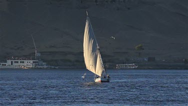 Felucca In Full Sail, River Nile, Aswan, Egypt