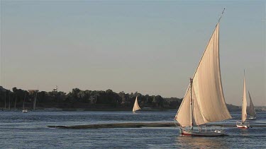 Feluccas Sailing On River Nile, Aswan, Egypt