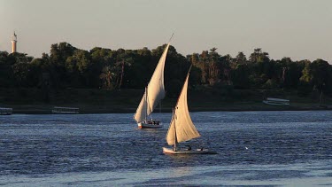 Feluccas In Full Sail, River Nile, Aswan, Egypt