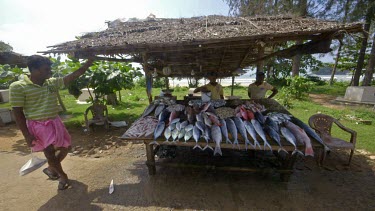 Keeping Fresh Fish Wet On Street Stall, Weligama, Sri Lanka, Asia