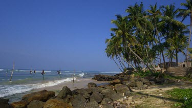 Stilt Fishermen & Coconut Palm Trees, Weligama, Sri Lanka, Asia
