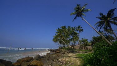 Stilt Fishermen & Coconut Palm Trees, Weligama, Sri Lanka, Asia