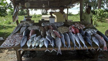 Keeping Fresh Fish Wet On Street Stall, Weligama, Sri Lanka, Asia