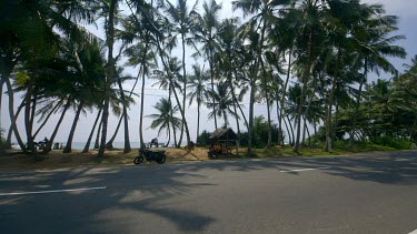 King Coconut Hut & Pam Trees, Midigama, Sri Lanka