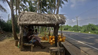 King Coconut Stall, Midigama, Sri Lanka