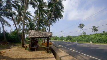 King Coconut Stall By Road, Midigama, Sri Lanka