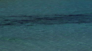 Clear Water & Black Algae, Karpas Peninsula, Cyprus, Northern Cyprus