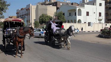 Horse & Carriages, Luxor, Egypt