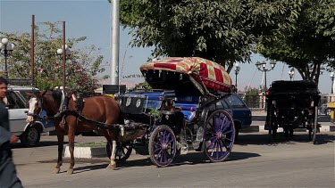 Horse & Carriages, Luxor, Egypt