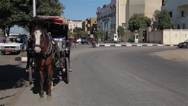Horse & Carriage, Luxor, Egypt