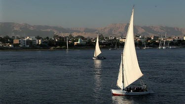 Feluccas In Full Sail, River Nile, Luxor, Egypt