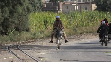 Man On Donkey, River Nile, Luxor, Egypt