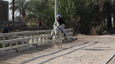 Man On White Donkey, Near, Luxor, Egypt