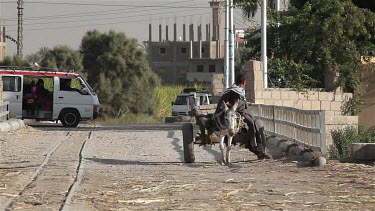 Boy With Donkey & Cart, Near, Luxor, Egypt