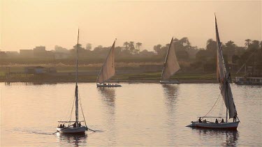 Rowing & Sailing Feluccas, River Nile, Luxor, Egypt